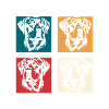 Rottweiler Danger Master