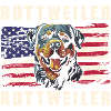 Chiot de compagnie Rottweiler Dog
