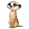 Playful meerkat look