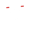 Polonais Pologne