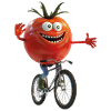 Vélo Tomato
