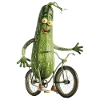 Zucchini Bicycle