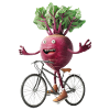 Vélo betterave