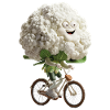 Cauliflower