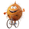 Coconut Bicycle