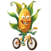 Vélo de maïs en épi