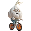 Knoblauch Fahrrad