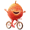Lychee Bike