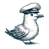 Seagull