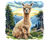 Alpaca Alpacas Alpaca
