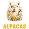 Alpaca Alpacas Alpaca