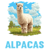 Alpaca Alpacas Alpaca