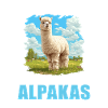 Alpaca Alpacas Alpaca