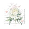 Nature Love Rose