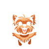 Yorkshire Terrier Drôle