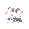 Schnauzer Dog Funny