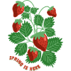 Strawberries