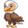 Faucon aigle