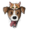 Dog Cat Face 2