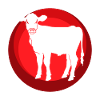 Vegan Organic Vegan