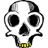 Skull (dreifarbig)
