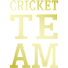 Équipe de cricket