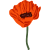 roter blühender Mohn