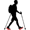 Nordic Walking Man Icon