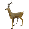 Roebuck