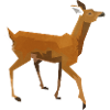 Roe deer