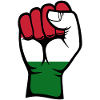 Hungary Flag Fist Hand