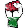 Hungary Flag Fist Hand Used