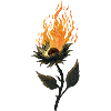 BurningFlower