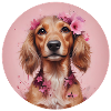 Pink Dachshund