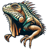 Iguana