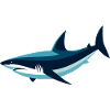 Stylized Shark