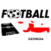 Soccer Fever Georgia