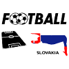 Fußball Fieber Slowakei