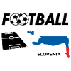 Fußball Fieber Slovenien
