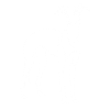 Strichzeichnung Italienisch Windhund Italienisch