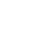 Large Waterfowl Swan Portrait