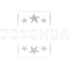 Joshua as Joshua