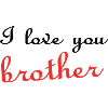I love you BROTHER