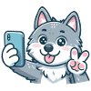 The cute selfie wolf