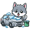 Cute wolf washes car