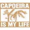 La capoeira est ma vie