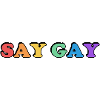 SAY GAY rainbow pride