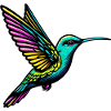 Colibri