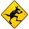 Kangaroo Boxing