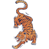 Fierce - Tiger